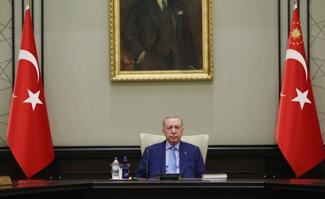 اردوغان استفاده از اسلحه در ترکیه را محدود می‌کند