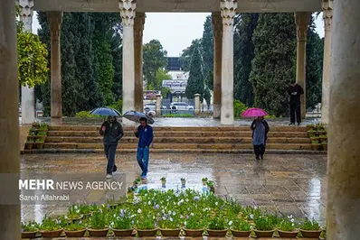 بارش باران بهاری در حافظیه و سعدیه شیراز+ عکس