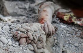 بنیاد شهید آمار رسمی شهدای جنگ را اعلام کرد