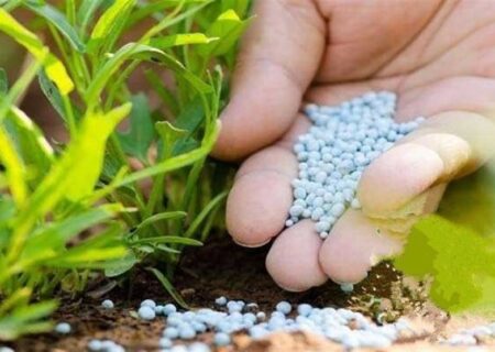 تأثیر تنش درخلیج فارس بر بازارهای جهانی کود شیمیایی و تولید غذا