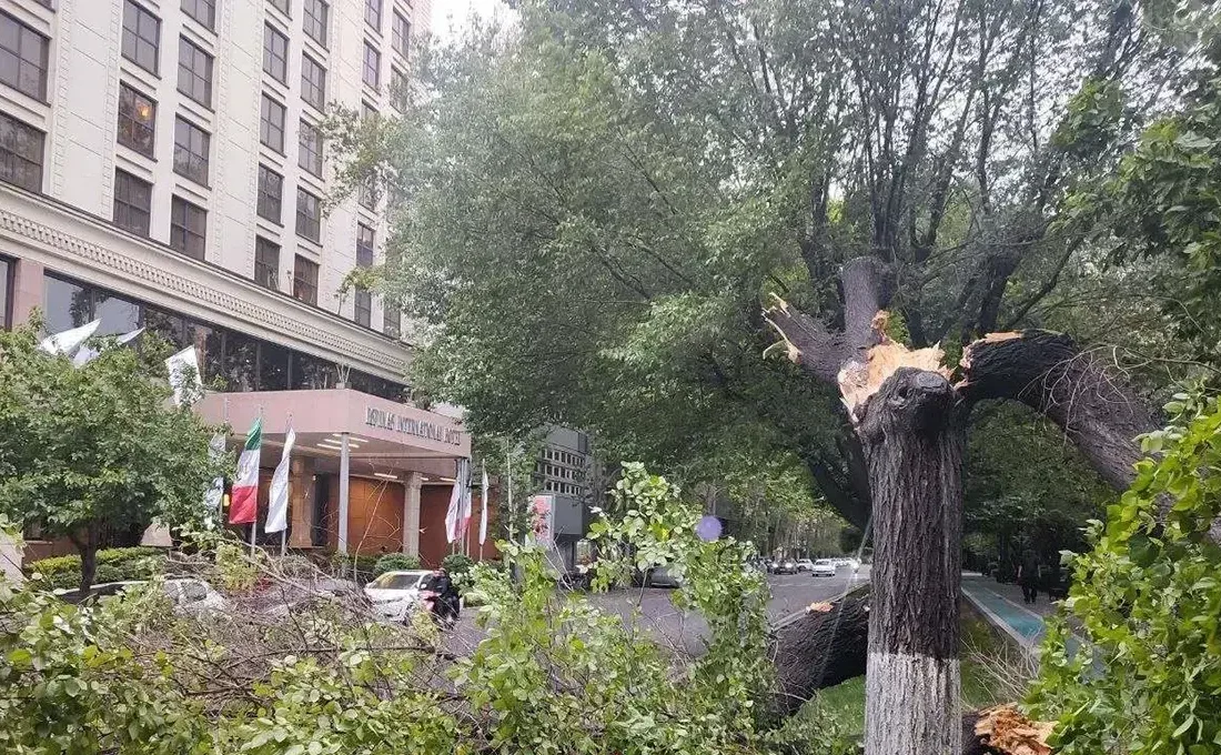 تازه‌ترین آمار از تعداد مصدومان طوفان امروز در تهران