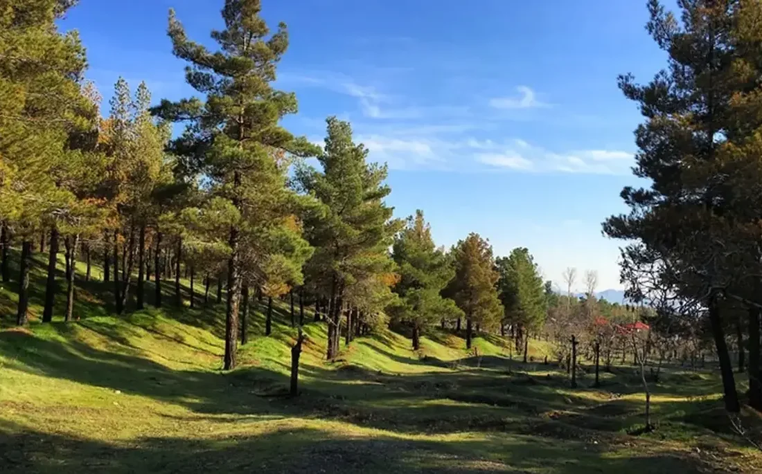 تعطیلی چهار بوستان جنگلی تهران در روز سیزده بدر/ اطلاعیه مهم شهرداری تهران