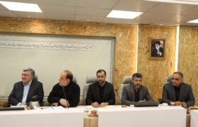 جزئیات نشست جمعی از نمایندگان با وزیر بهداشت؛ تأکید بر کنترل قیمت دارو