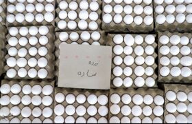 دستور وزیر کشاورزی برای اصلاح قیمت تخم مرغ