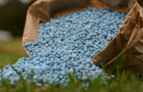 دغدغه‌های تولید کود در روزهای سخت؛ ضرورت بازنگری روند تخصیص ارز و مجوز