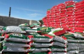 رشد‌ 50 درصدی قیمت جهانی اوره نسبت به قبل از جنگ