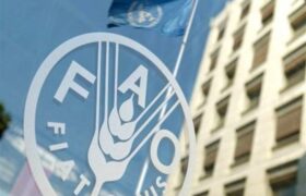 فائو جای سیاست‌بازی نیست