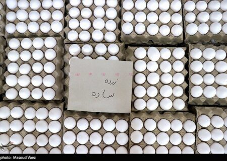 قیمت تخم مرغ کاهش می‌یابد