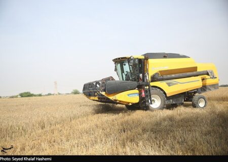 قیمت گندم 5نرخی شد