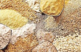 محدودیت واردات از طریق بنادر جنوبی کشور / اولین محموله نهاده دامی نیز از بنادر شمالی وارد کشور شده است