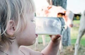 هشدار؛ تب مالت در بهار اوج می‌گیرد