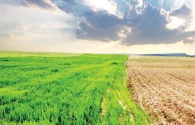 چالش‌های اقلیمی کشاورزی ایران؛ از خشکسالی تا امنیت غذایی