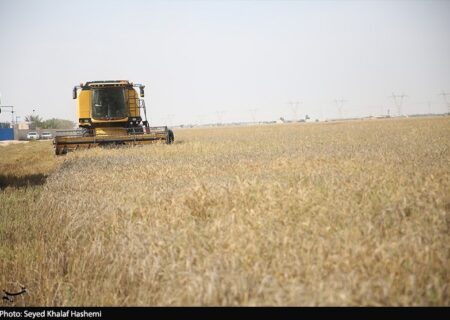 آمادگی 500 هزار میلیارد تومانی برای خرید تضمینی گندم در 1405