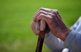 آنچه موجودات دریایی درباره سرعت پیر شدن افراد فاش می‌کنند