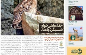 انتشار «زمینی‌ها» با رویکرد روستای گردشگری پامنار و جغد ماهی‌خوار