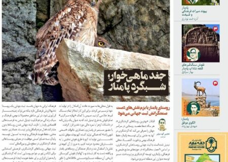 انتشار «زمینی‌ها» با رویکرد روستای گردشگری پامنار و جغد ماهی‌خوار