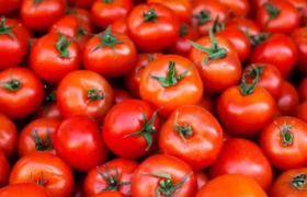 بازار صادراتی جان گرفت / دستور تازه گمرک برای خروج آزادانه سه کالای حساس