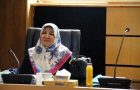 بودجه بیماران اتیسم متناسب با نیاز آنان باشد