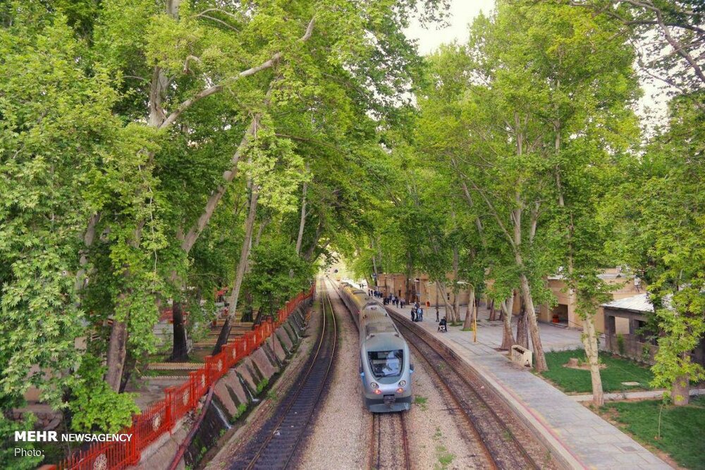 «بیشه» روایتِ شگفت‌انگیز زاگرس؛ جایی که آب جادوگری می‌کند