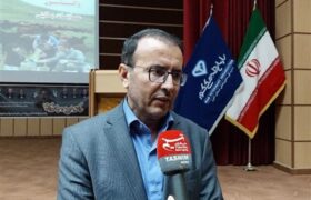 تشریفات اداری واردات گوشت و مرغ به کشور کاهش یافت