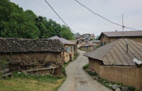 شانه‌تراش؛ الگویی از پیوند هویت و توسعه در مسیر جهانی‌شدن