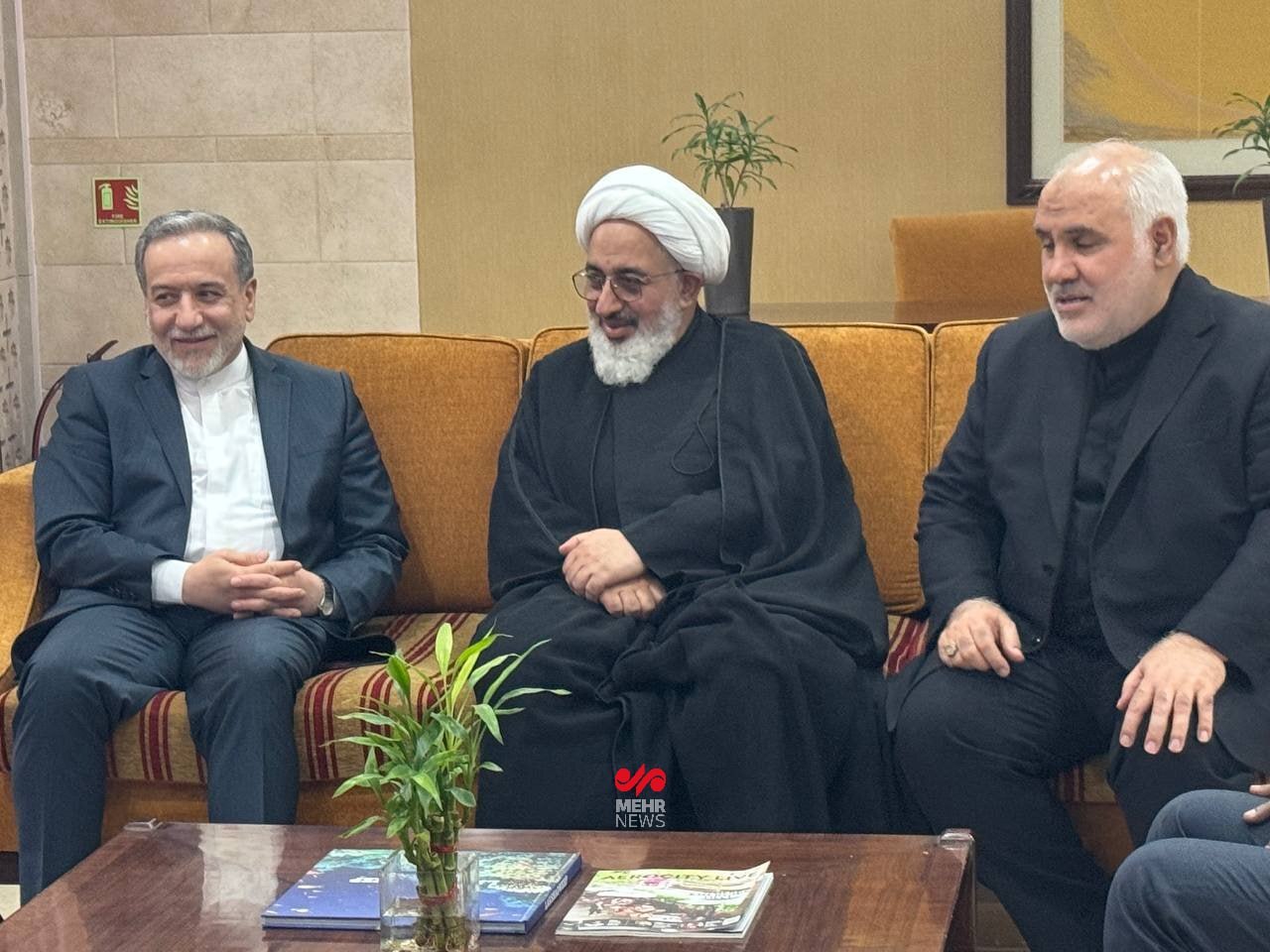 عراقچی وارد هند شد
