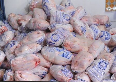 عرضه نامحدود مرغ منجمد آغاز شد