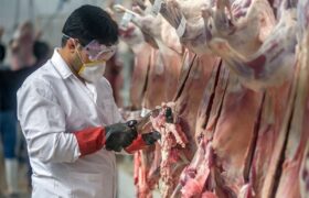 نکات بهداشتی ذبح دام در عیدقربان/ نحوه نگهداری گوشت قربانی اعلام شد