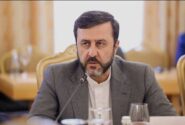 هشدار غریب آبادی به انگلیس و فرانسه درباره اعزام ناو