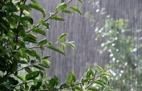 هواشناسی هشدار داد/ باران و رعدوبرق در تهران و شمال غرب کشور