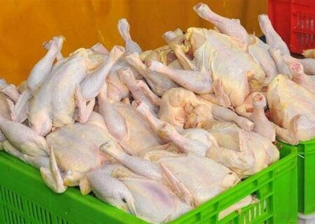 چرا مرغ در بازار کم شد؟