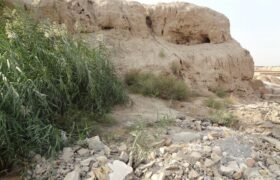 گنجینه‌ای هفت هزار ساله در میان زباله‌ها