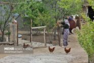 بوم‌گردی؛ از ایده گردشگری تا راهبرد تمدنی برای احیای روستا