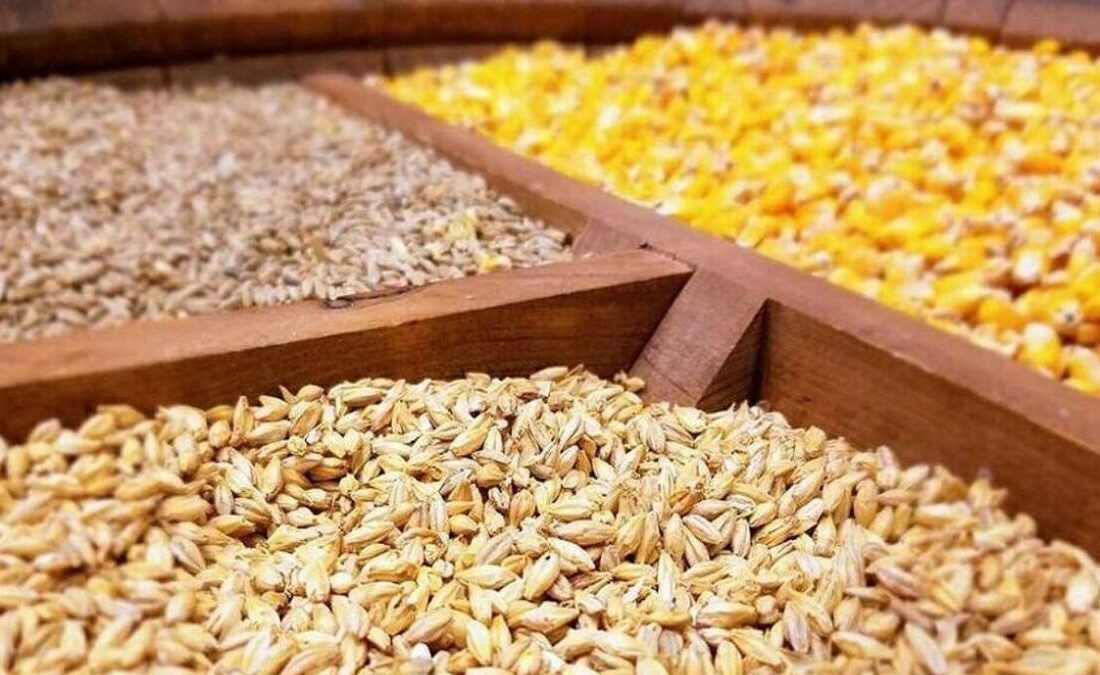 جزئیات تازه از واردات نهاده‌های دامی / گردش مالی سالانه به ۸ میلیارد دلار رسید