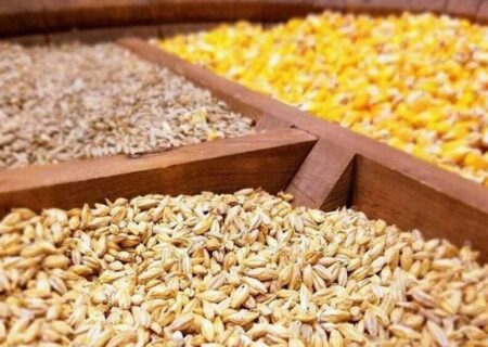 جزئیات تازه از واردات نهاده‌های دامی / گردش مالی سالانه به ۸ میلیارد دلار رسید