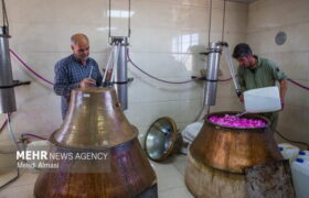 نمایشگاه گل و گلاب در بوستان باغ ایرانی برگزار می‌شود