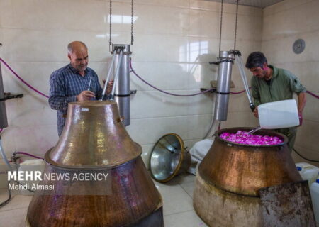 نمایشگاه گل و گلاب در بوستان باغ ایرانی برگزار می‌شود