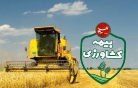 پرداخت 6.5 همت خسارت بیمه‌ای به کشاورزان