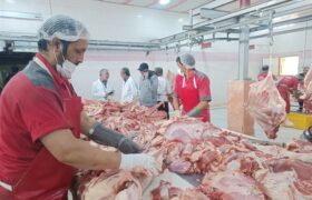 سختگیری جدید اروپا؛ فرصتی برای ارتقاء سلامت تولیدات دامی ایران