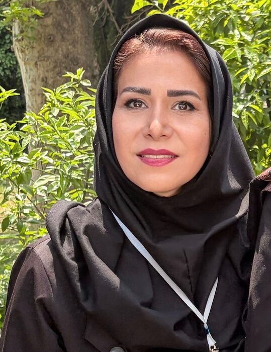شیخ صفی‌الدین اردبیلی عارفی که میراث معنوی ایران را جاودانه کرد
