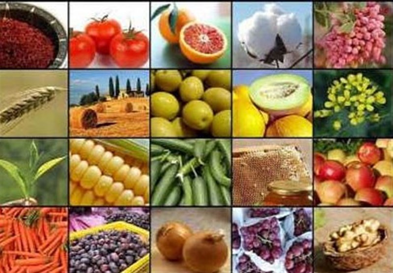 صادرات 15 محصول کشاورزی آزاد شد+ جدول