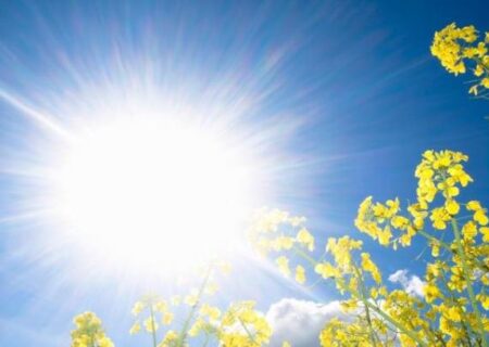 ماجرای ضدآفتاب های خوراکی!