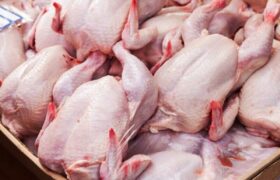 چراغ سبز به صادرات گوشت مرغ / قیمتها در بازار داخلی بالا میرود؟