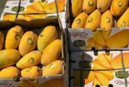 آغاز ثبت سفارش واردات انبه و چای