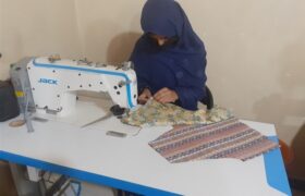 بانوان روستایی خوش حساب‌ترین دریافت کنندگان وام‌ اشتغالزایی هستند