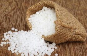 تأمین مالی اوره حمایتی؛ پیش‌شرط پایداری تولید و امنیت غذایی