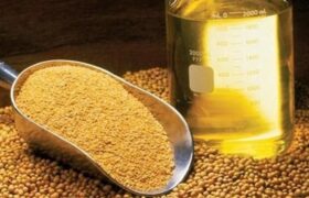 ثبت سفارش واردات انواع روغن از امروز آغاز شد