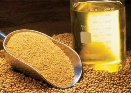 ثبت سفارش واردات انواع روغن از امروز آغاز شد