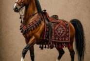 رویداد بزرگ تخصصی، فرهنگی و هنری اسب دره‌شوری در سمیرم برگزار می‌شود/  فضایی برای گفت‌وگو و تبادل دانش و تجربه میان متخصصان حوزه اسب و فعالان فرهنگی، هنری و گردشگری