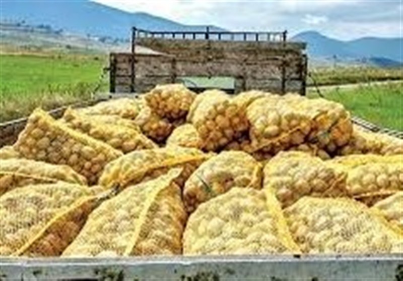 صادرات سیب‌زمینی تا پایان سال ممنوع شد
